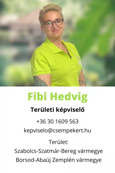 Hédi